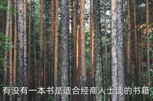 有没有一本书是适合经商人士读的书籍