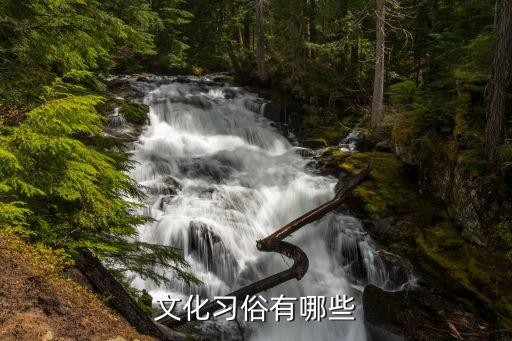 文化习俗有哪些