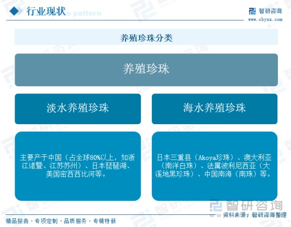 养殖珍珠分类