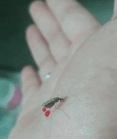 幽默搞笑传统文化丢失严重啊，古代的女子个个能呤诗作对。