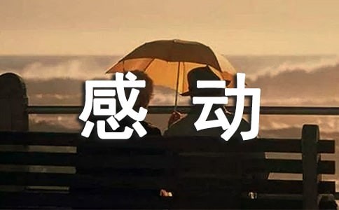 精选瞬间感动的作文300字集锦8篇