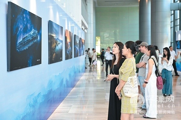 “蓝眼泪”摄影摄像展开幕 光影艺术点亮文旅名片