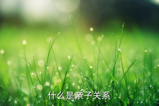 什么是亲子关系