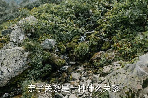 亲子关系是一种什么关系