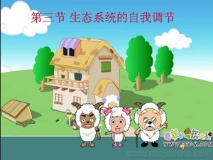 《第3节 生态系统的自我调节》PPT课件(江苏省市级优课).ppt