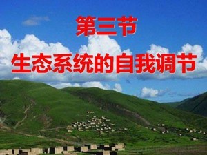 《第3节 生态系统的自我调节》PPT课件(江苏省县级优课).ppt