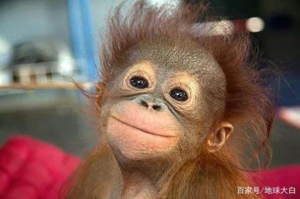 形容一个人很幽默，千万别用“very funny”，地道的表达是这些！