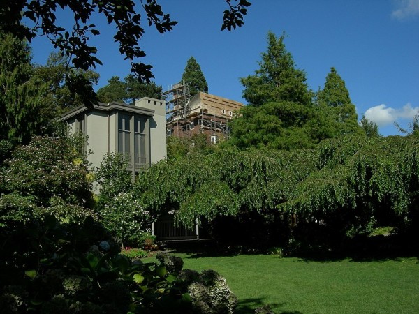 Seattle - looking up from Parsons Gardens