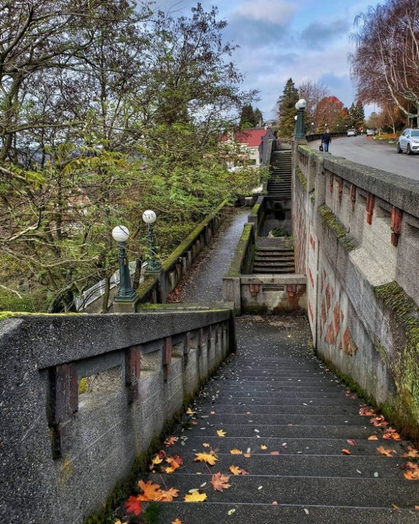 things to do in queen anne seattle | take a walk through the scenic marshall park