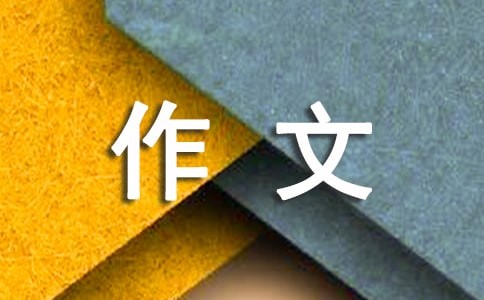 关于游戏的记事作文