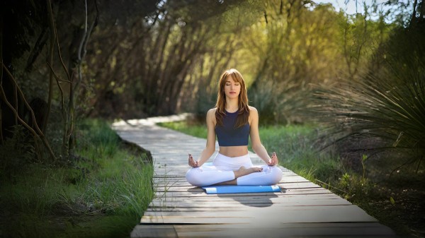 至善坐 Siddhasana