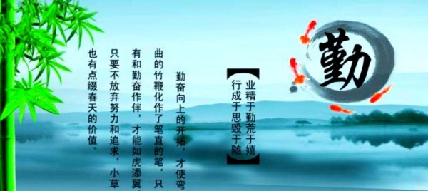 常用英语表达与短语的完美掌握指南