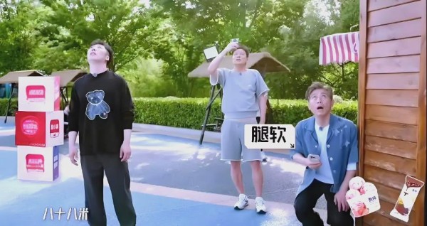 2025年综艺新势力井喷：新老面孔同台竞技