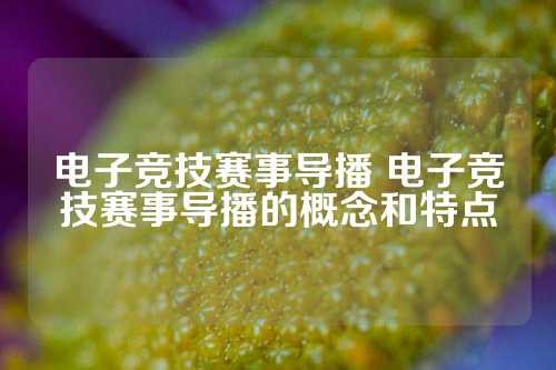 电子竞技赛事导播 电子竞技赛事导播的概念和特点