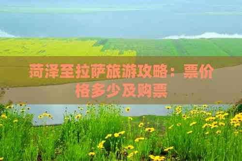 菏泽至拉萨旅游攻略：票价格多少及购票
