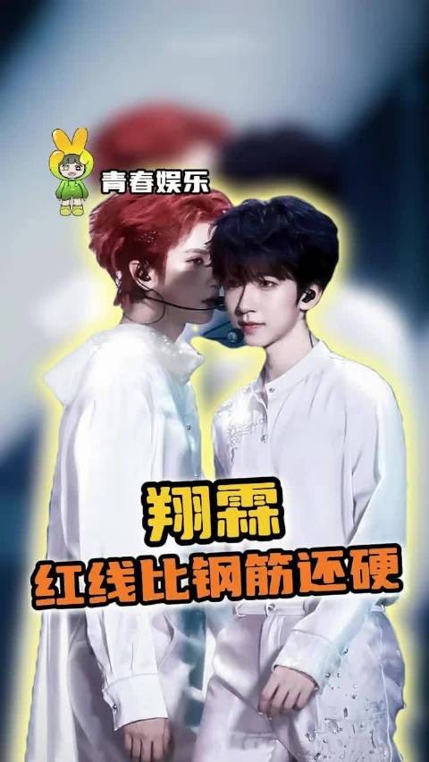 全世界0个人帮你们避嫌～～翔霖 严浩翔 贺峻霖