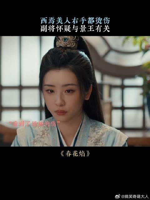 西焉美人右手都烫伤,副将怀疑与景王有关