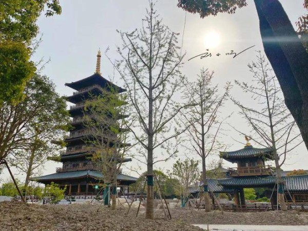 上海有座“风格独特”的寺庙，游客以为是日本风格，结果是误会？