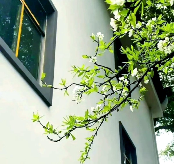 情绪管理指南：不同情绪的化解方法