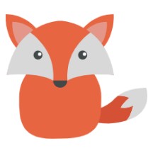 茶杯狐Cupfox