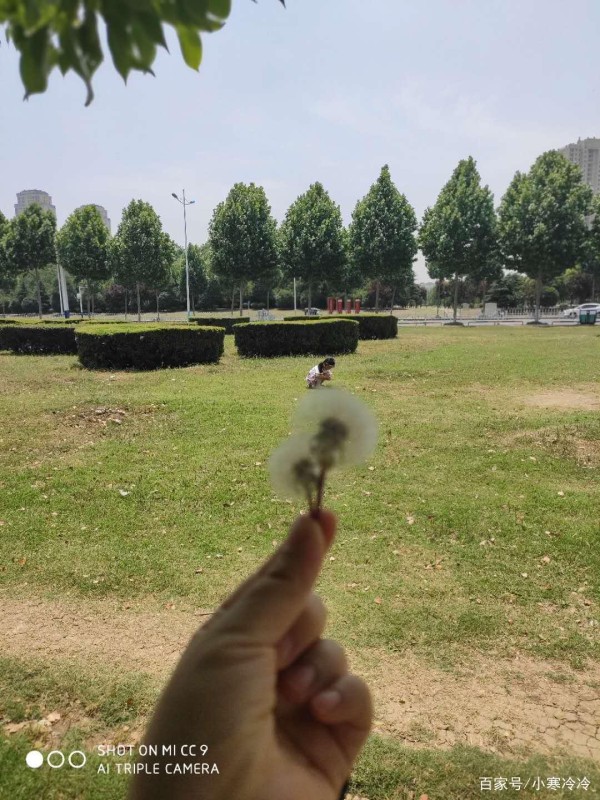 日常生活的小趣事