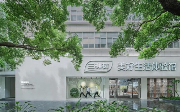 三棵树美好<a target=