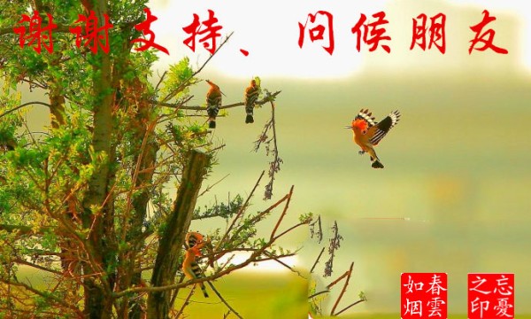 [转载]2023下半年，最正确的<a target=