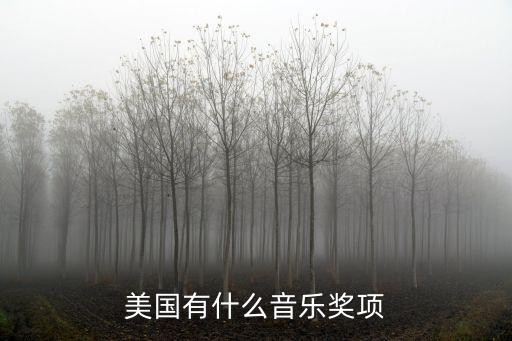 美国有什么音乐奖项