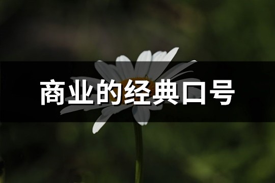 商业的经典口号
