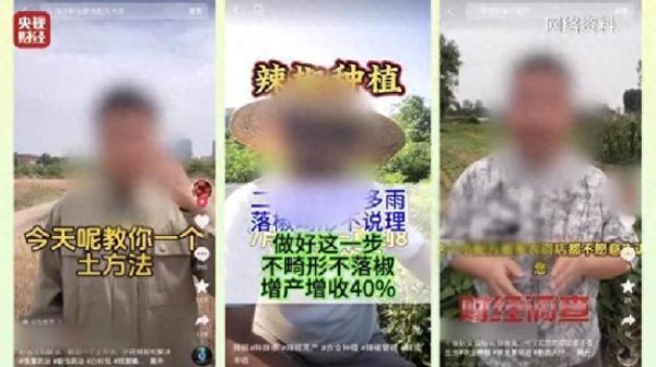被种植户举报网红承认虚假宣传 假专家坑农害农