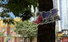 “打卡翻身路，好运挡不住！”深圳翻身路爆红网络