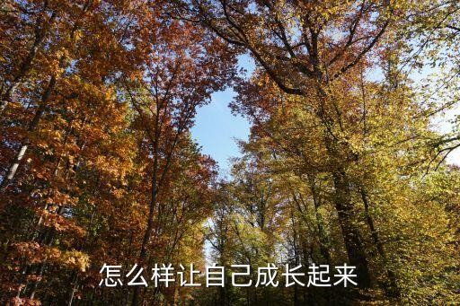 怎么样让自己成长起来