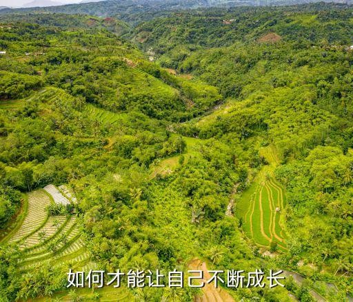 如何才能让自己不断成长