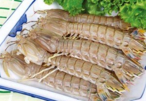 皮皮虾
