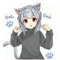 冷狐宝盒普通版正版