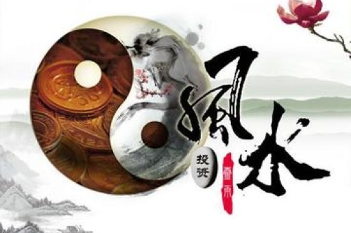 讨论星座的节目有 讲星座的综艺节目