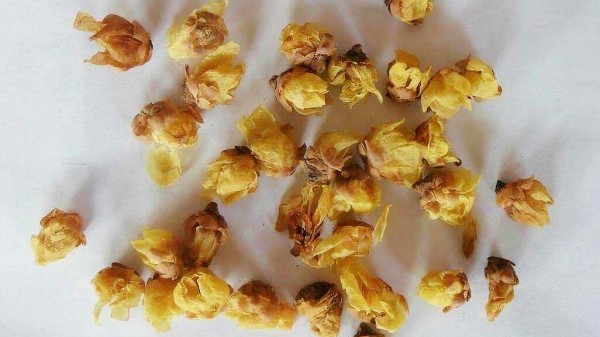 尿酸居高不下?老中医一味药方,每天在家自己熬,痛风不来扰