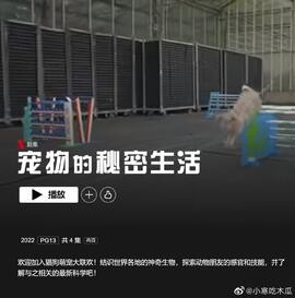 宠物的秘密<a target=