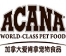 爱肯拿