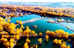 胡杨林景区在哪里
