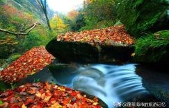 巴中有什么好玩的地方?巴中旅游景点推荐!