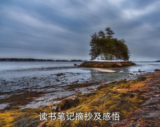 读书笔记摘抄及感悟