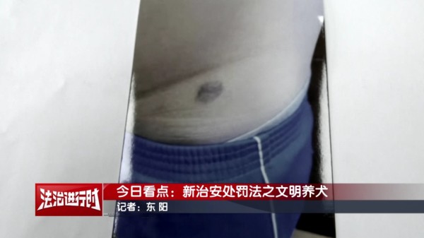 养宠人士注意！2026年1月1日起执行！违反者可被拘留！