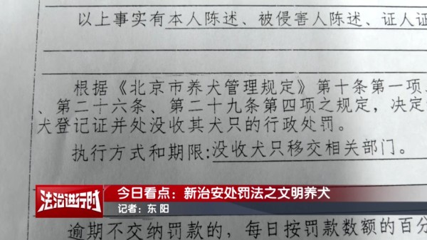 养宠人士注意！2026年1月1日起执行！违反者可被拘留！