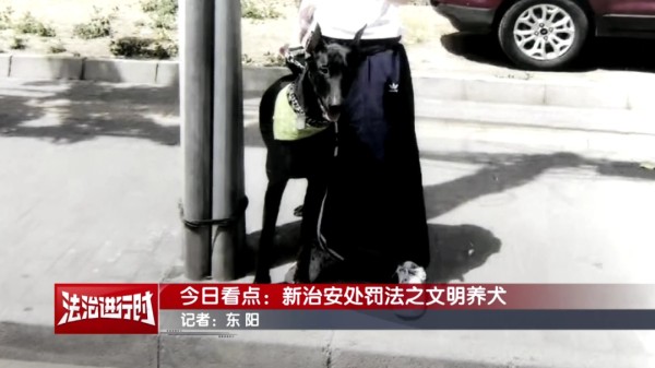 养宠人士注意！2026年1月1日起执行！违反者可被拘留！