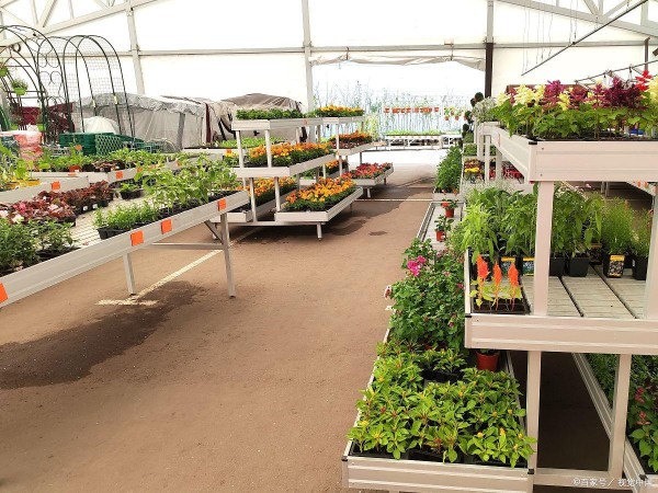 智能家居与园艺：最新植物养护科技介绍