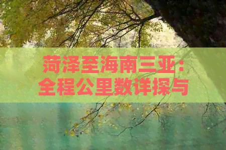 菏泽至海南三亚：全程公里数详探与旅行攻略