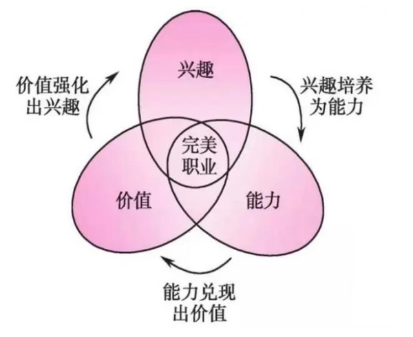 职业生涯规划三叶草模型