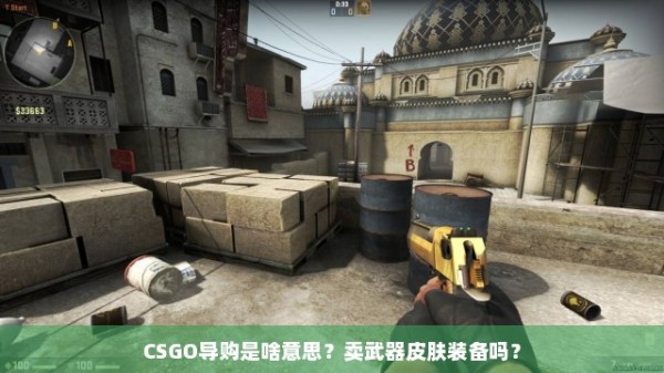 CSGO导购是啥意思？卖武器皮肤装备吗？