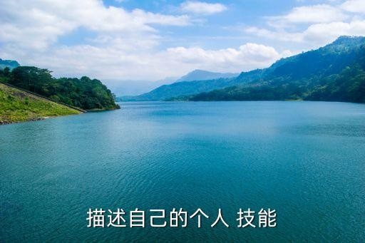 描述自己的个人 技能